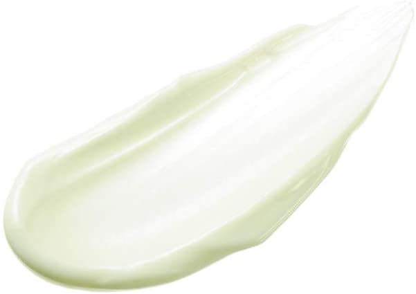 Kanebo Global Skin Protector A - Image 5
