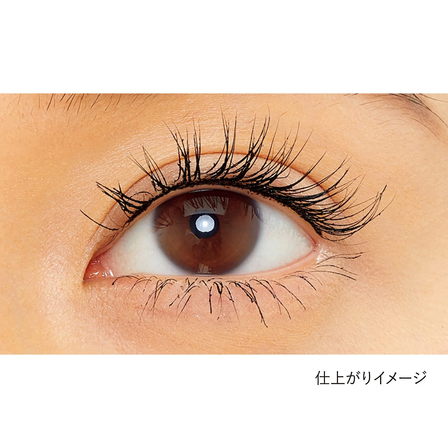 Kanebo Separate Long Lash CC - Image 2