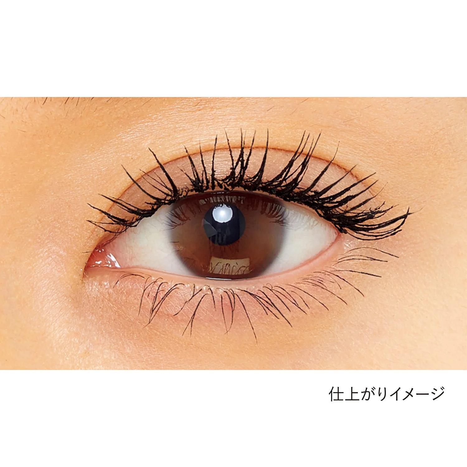 Kanebo Lash Extension WP - Image 2