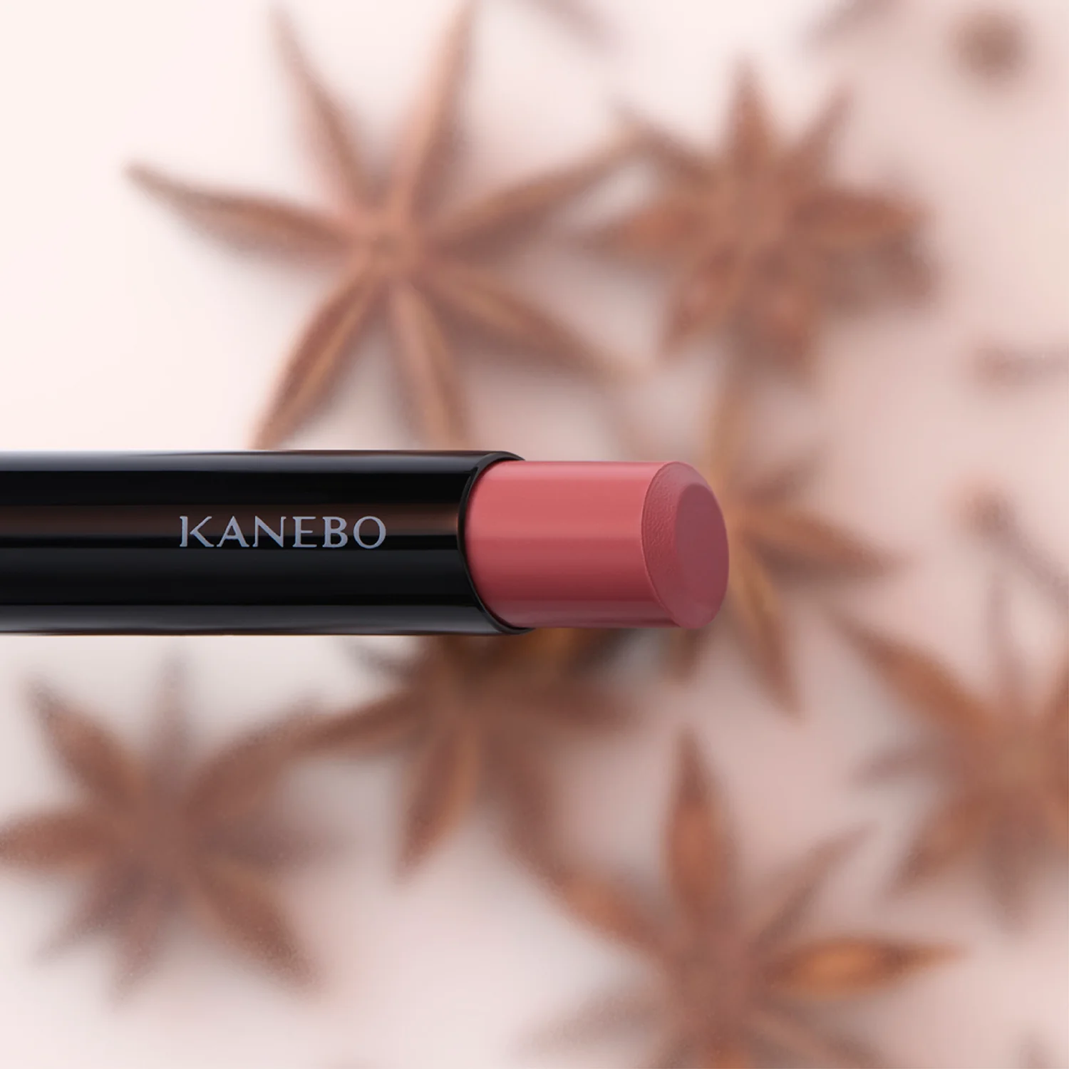 Kanebo Rouge Star Breathe - Image 2
