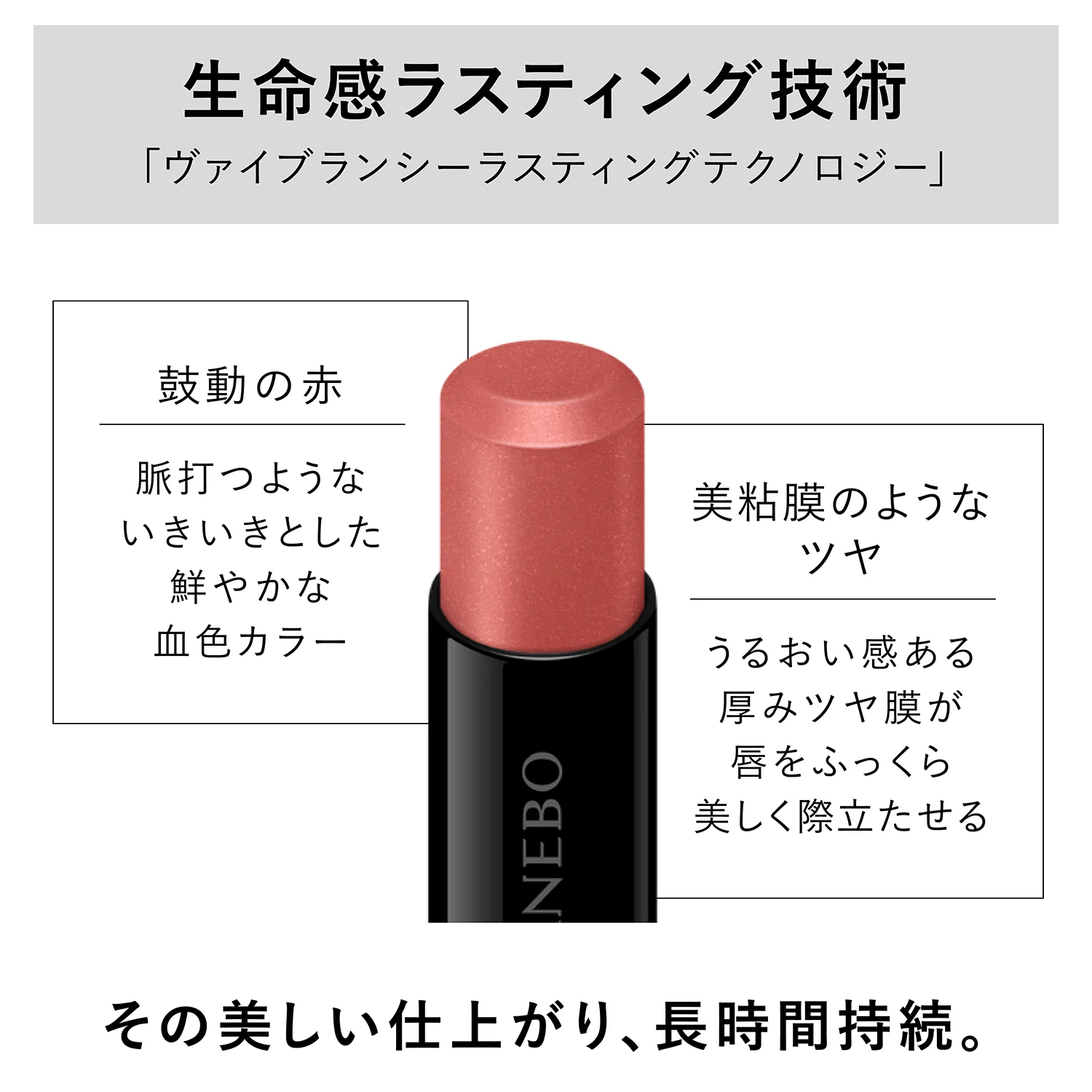 Kanebo Rouge Star Vibrant - Image 4