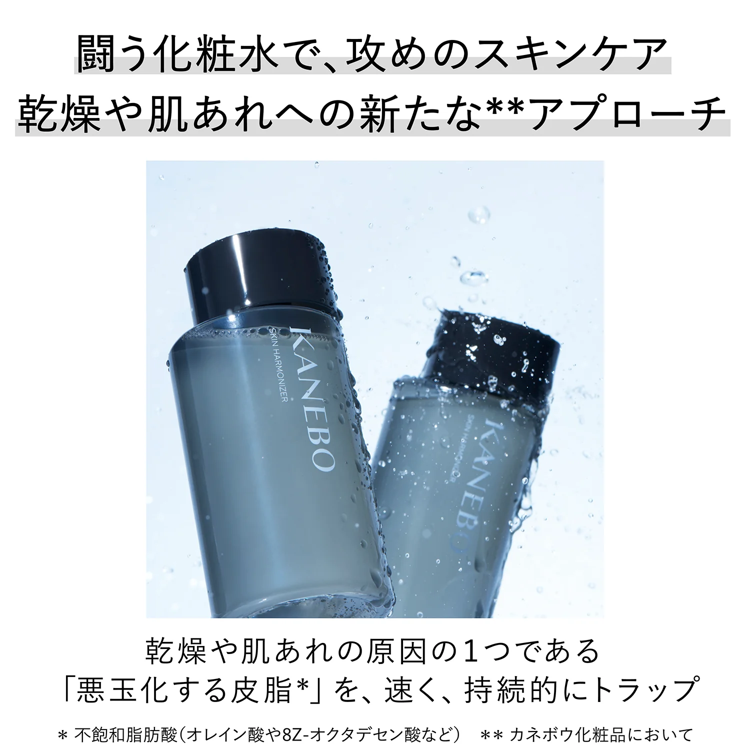 Kanebo Skin Harmonizer - Image 2