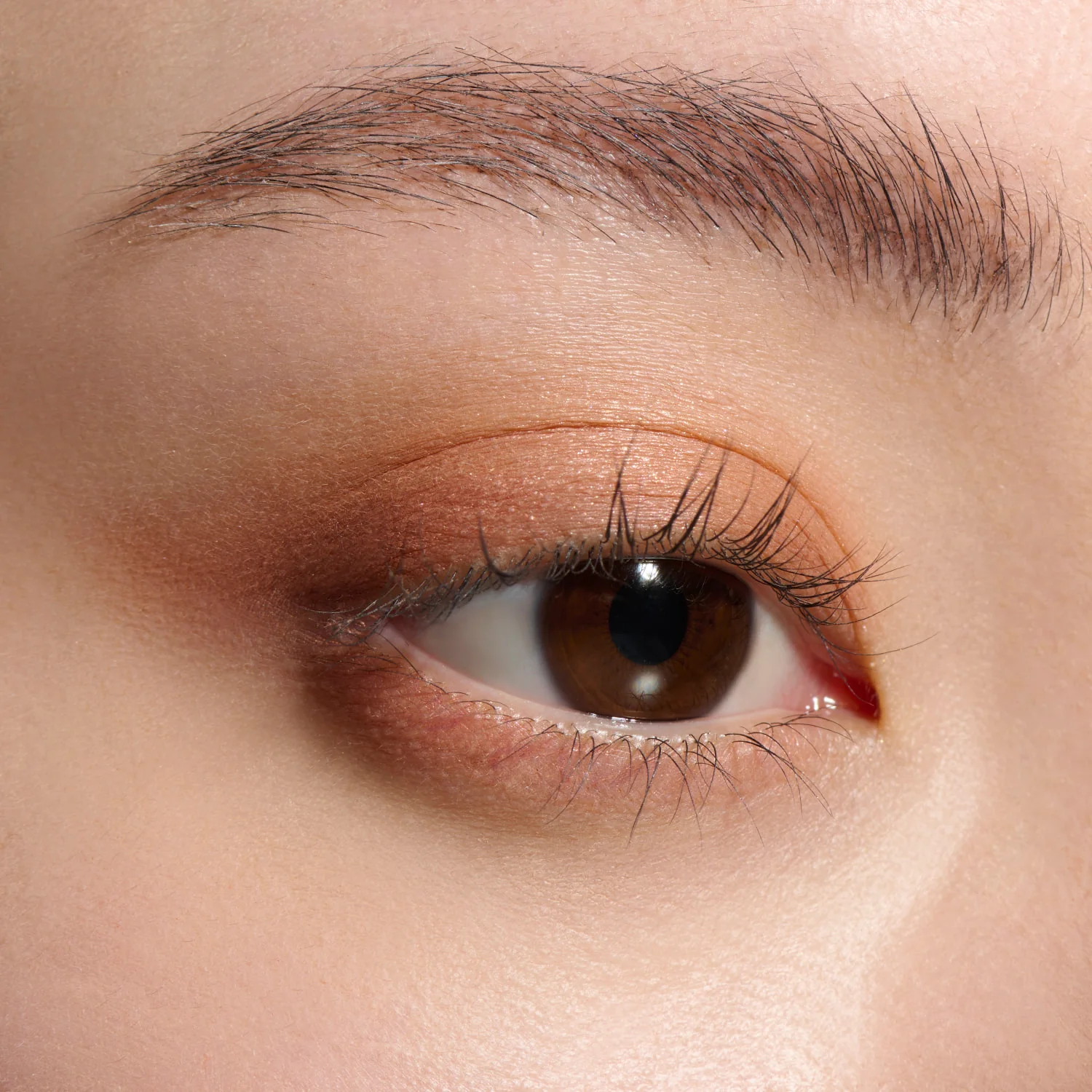 Lunasol Eye Coloration N - Image 2