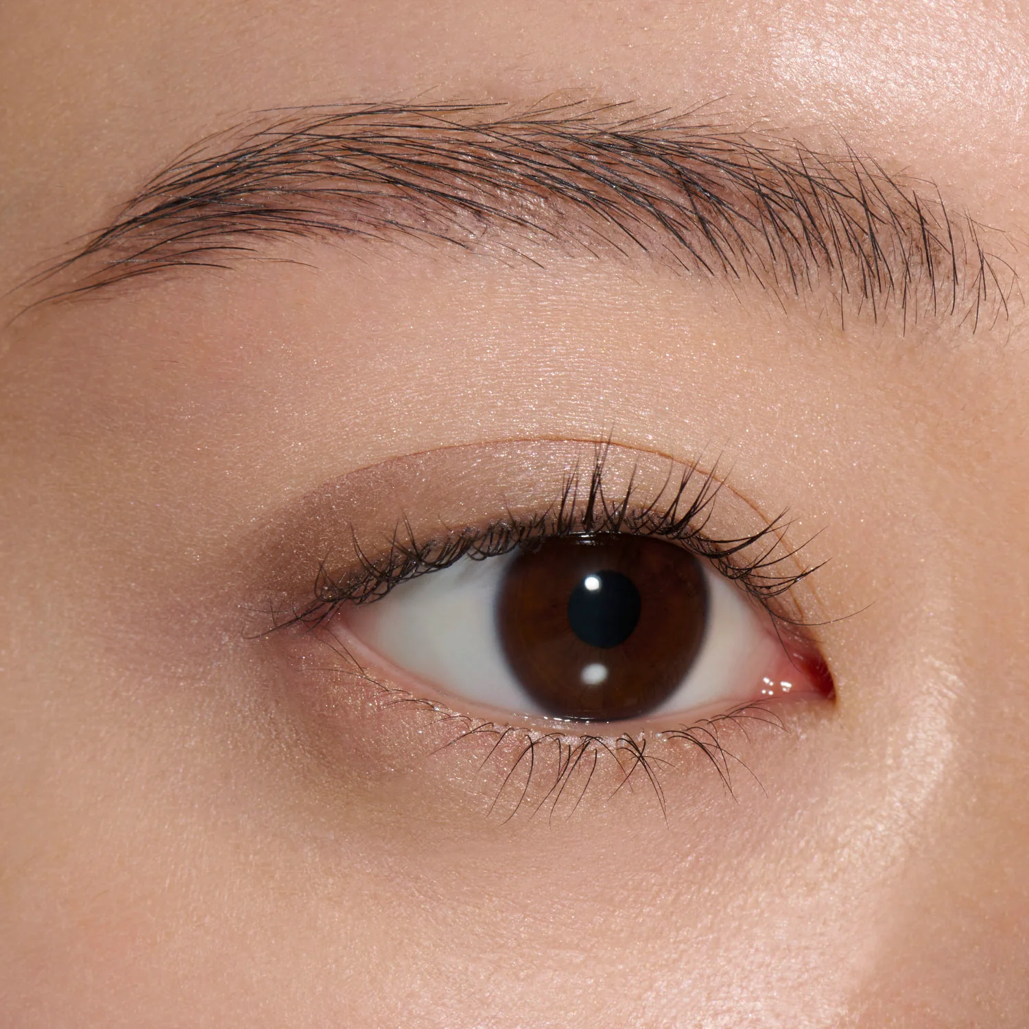 Lunasol Mono Eye Coloration - Image 2