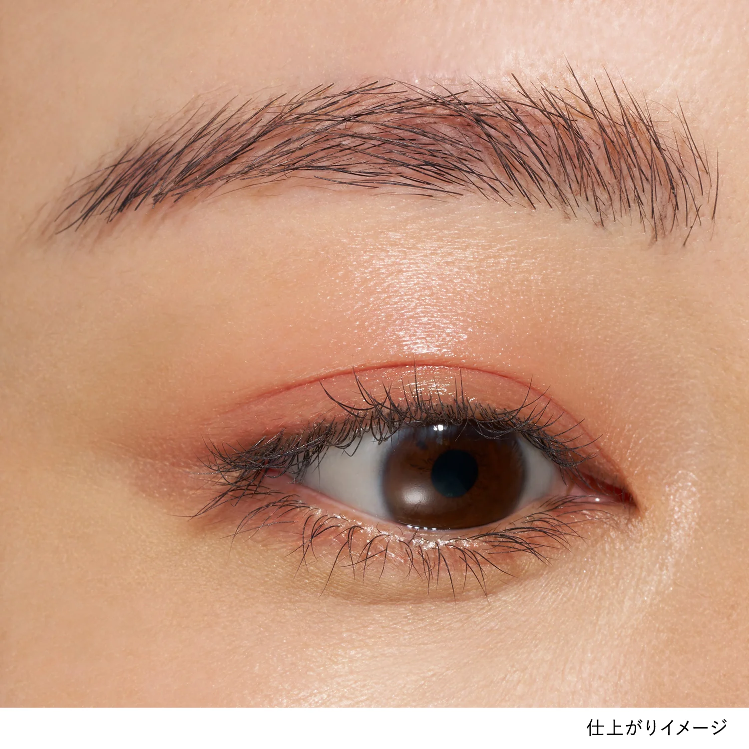 Lunasol Mono Eye Coloration - Image 32
