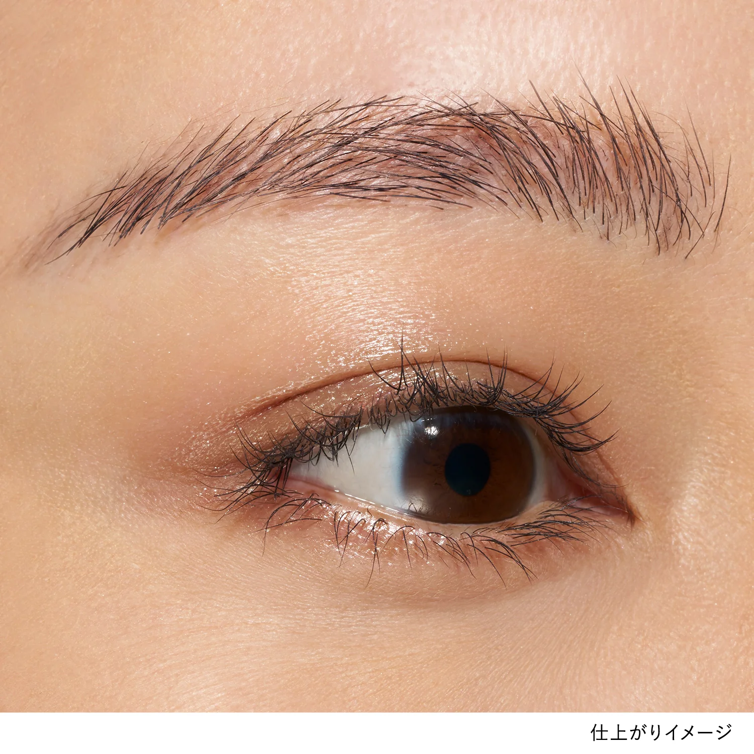 Lunasol Mono Eye Coloration - Image 36