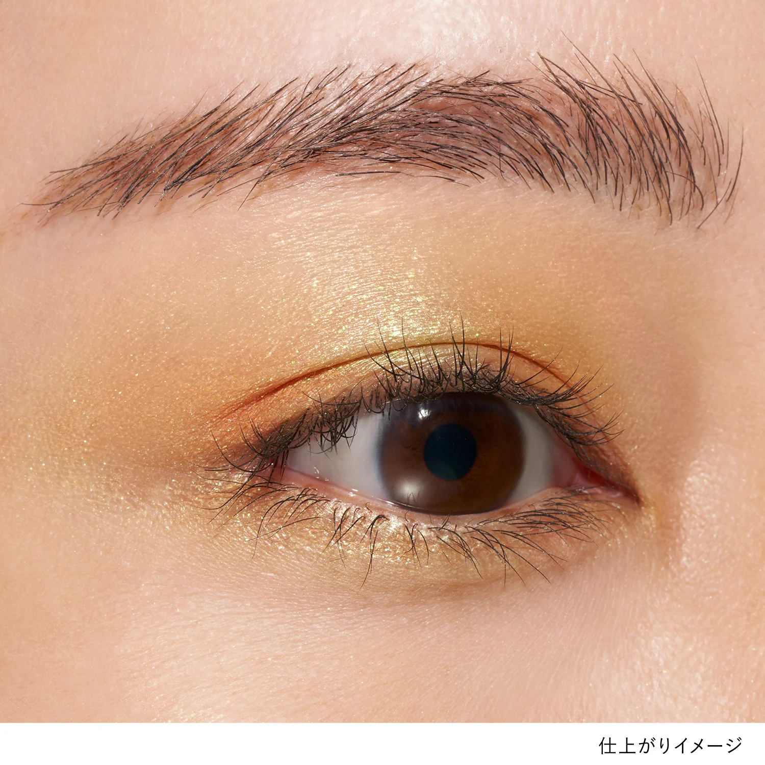 Lunasol Mono Eye Coloration - Image 40