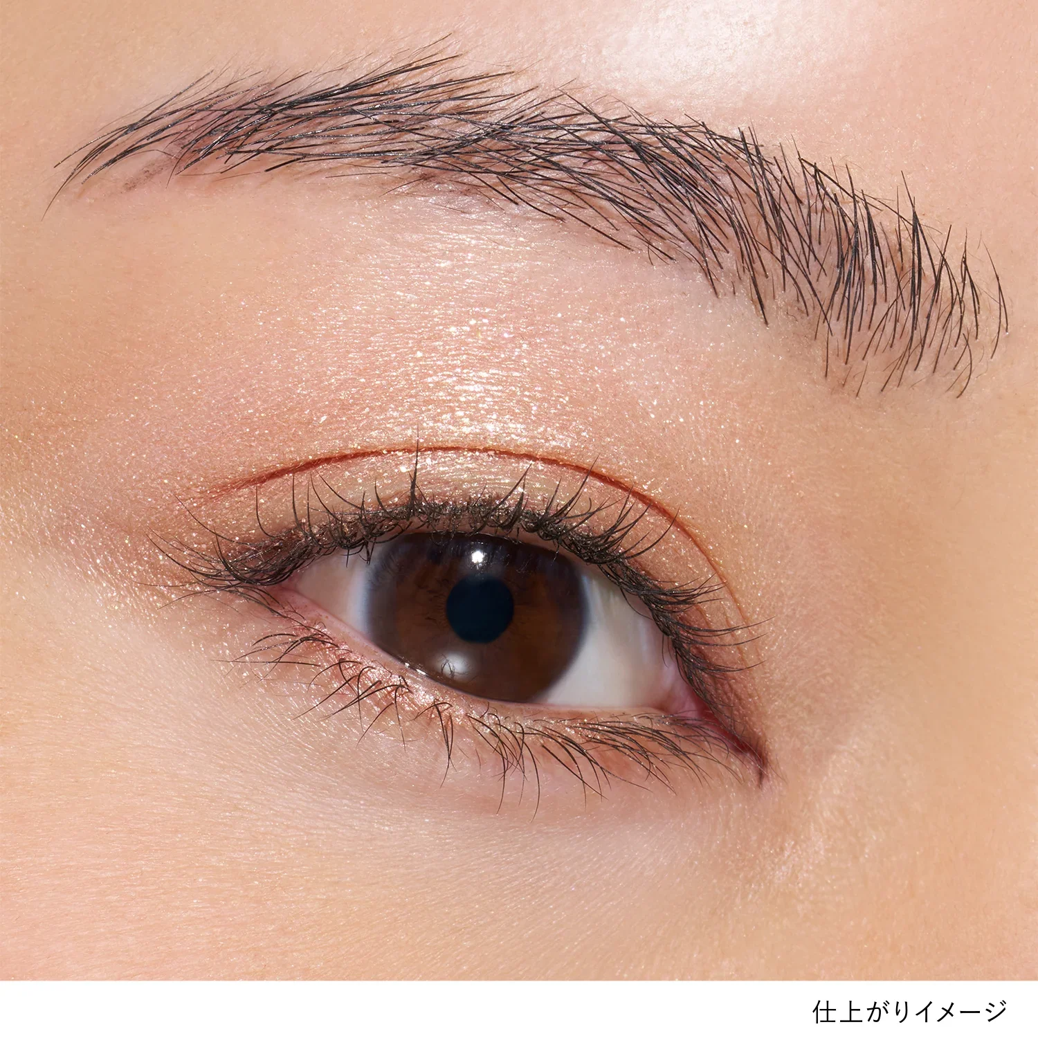 Lunasol Mono Eye Coloration - Image 48