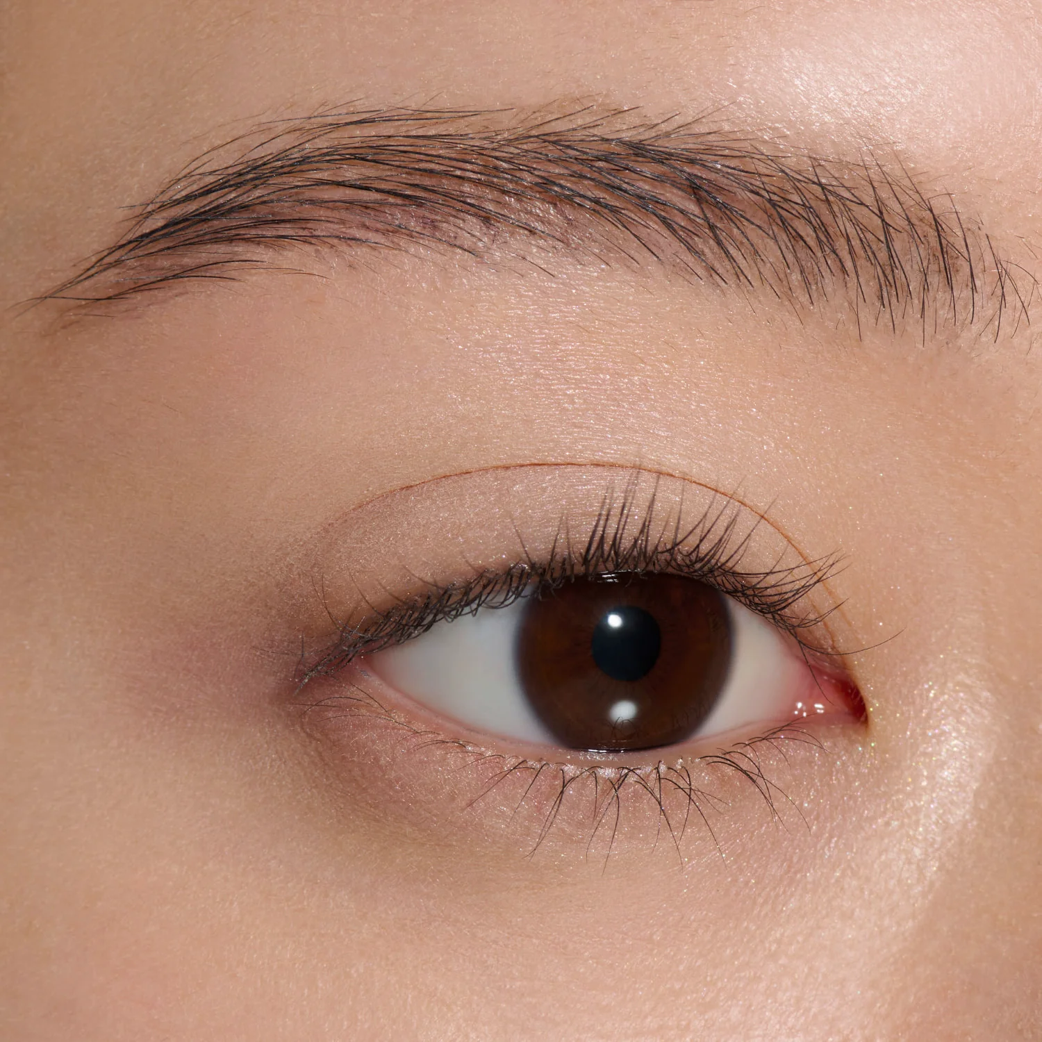 Lunasol Mono Eye Coloration - Image 5