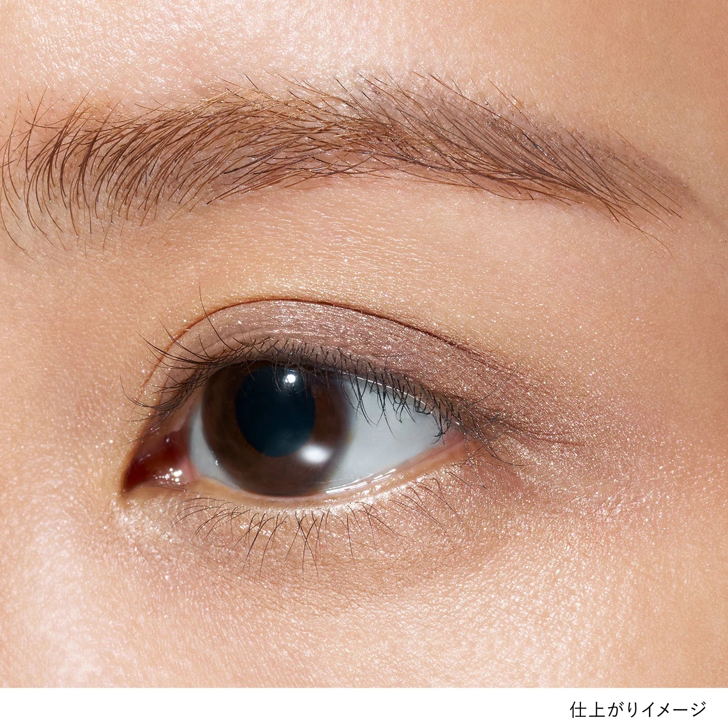 Lunasol Mono Eye Coloration - Image 61