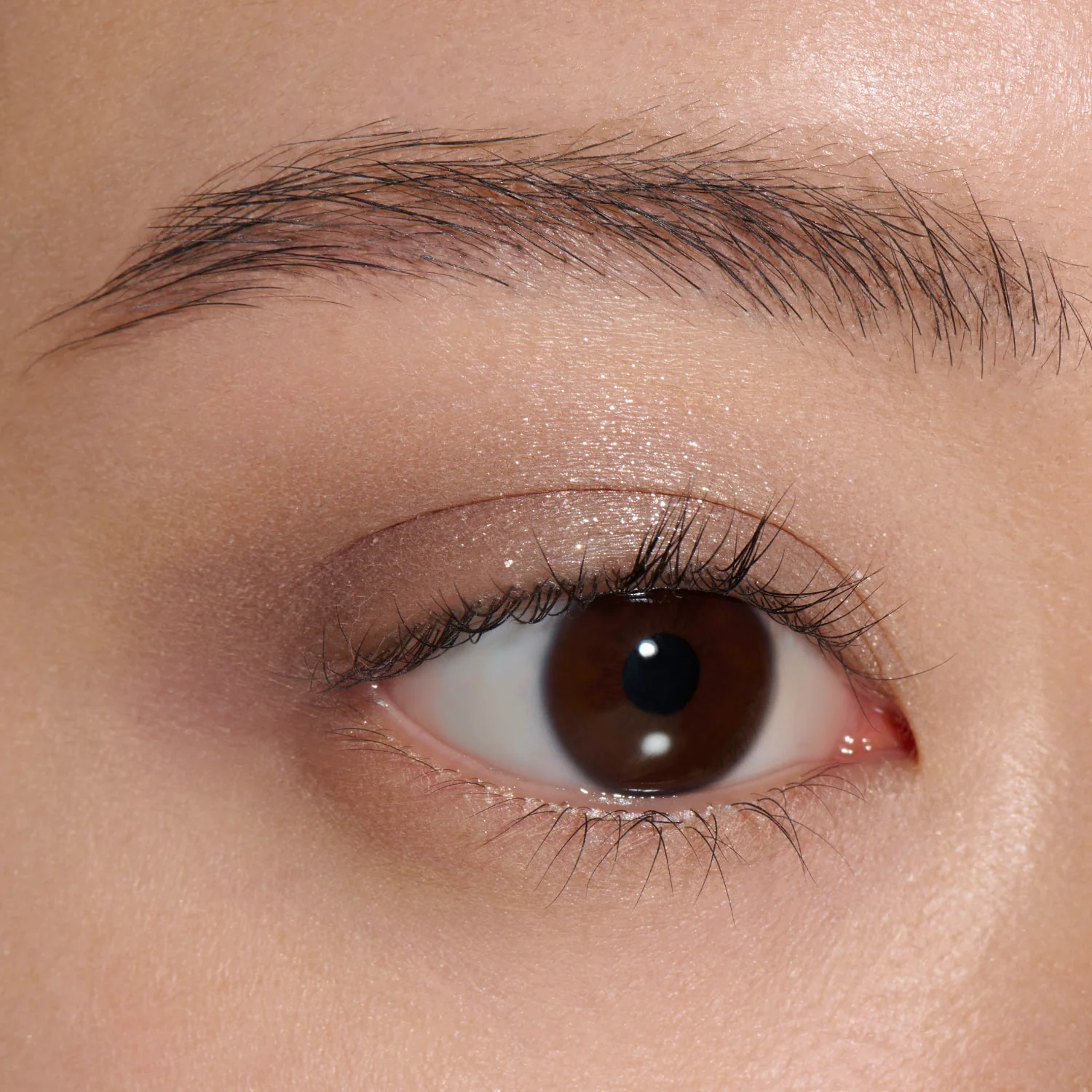 Lunasol Mono Eye Coloration - Image 8