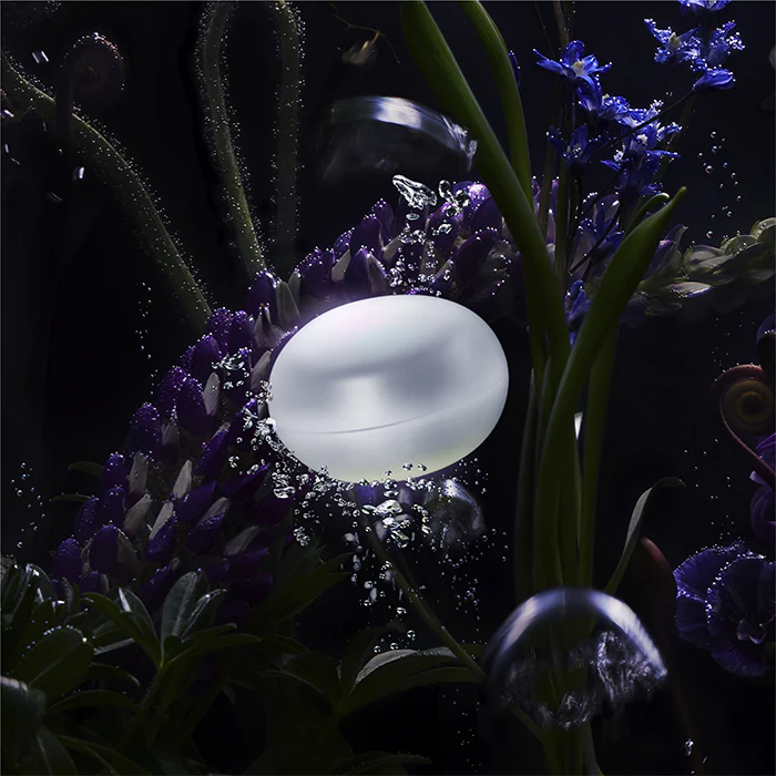 Pola B.A Grandluxe O - Image 5