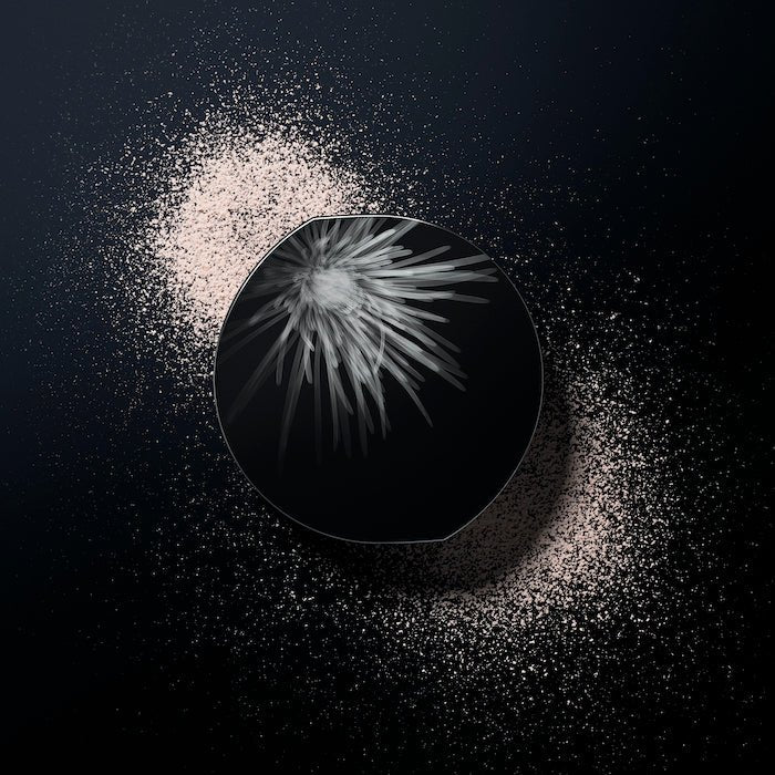 Pola BA Finishing Powder N