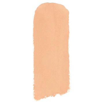 Shiseido Inoui Concealer Stick - Image 6