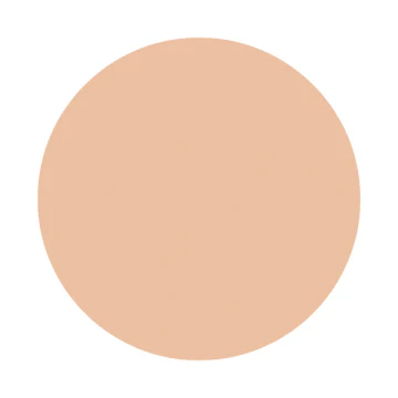 Shiseido Inoui Liquid Foundation - Image 3
