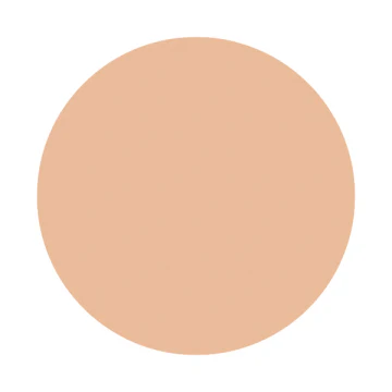 Shiseido Inoui Liquid Foundation - Image 4