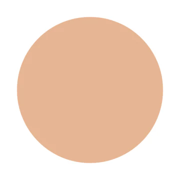 Shiseido Inoui Liquid Foundation - Image 5