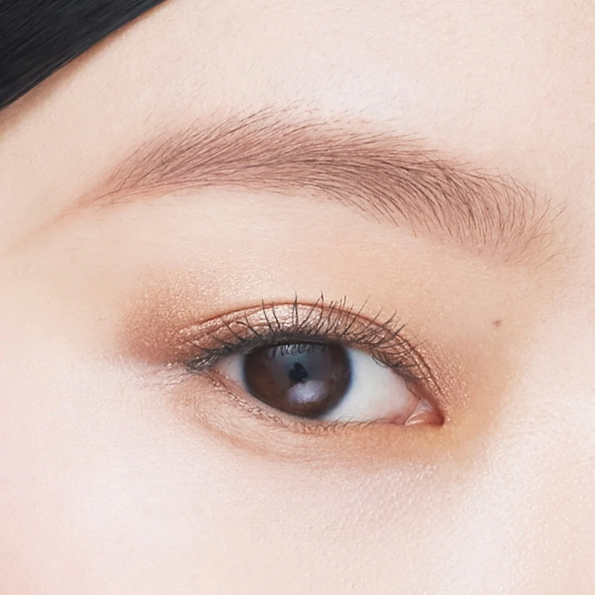 Shu Uemura Eye Sculpt - Image 20