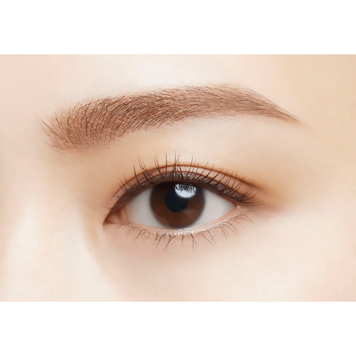 Visee Eyebrow Sword Pencil & Powder - Image 11