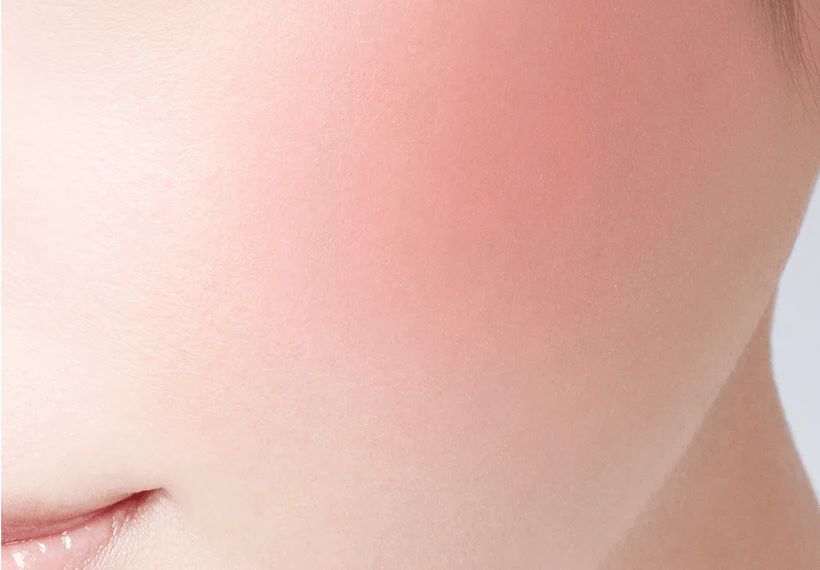 Visee Riche Foggy on Cheeks N - Image 4