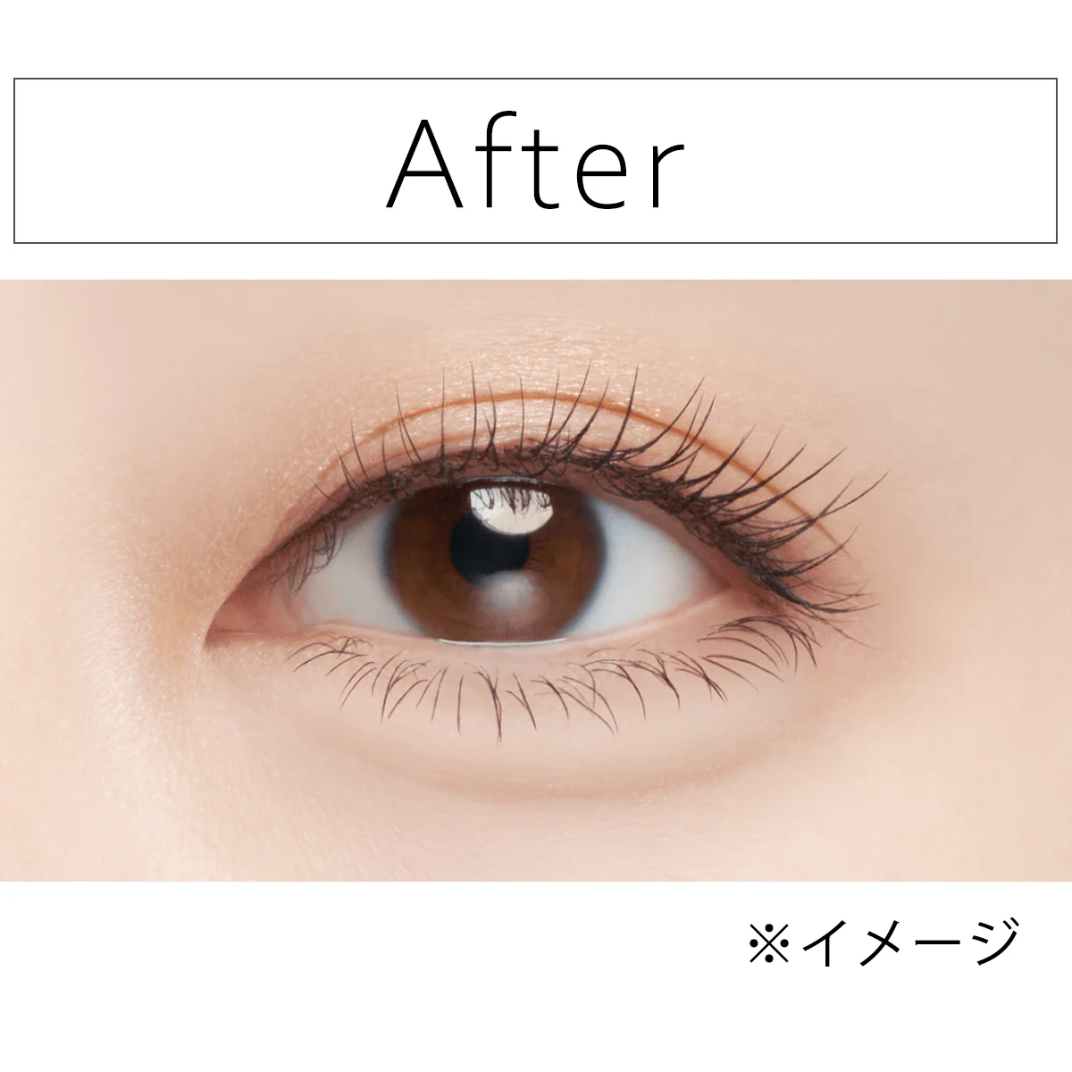 Visee Wide Trick Double Liner - Image 5